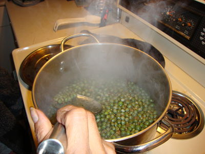 boiling off the pulp of the silverberries